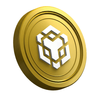 Moneta della criptovaluta Binance BNB sulla pagina della guida destinata al trader principiante